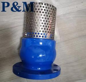 Quality Ductile iron ANSI flanged foot valve wholesale