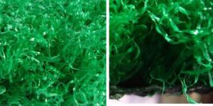 Quality Best Soft Fake / Synthetic / Artificial Grass Lawn for Homes, Playground, Hospital, Roof wholesale