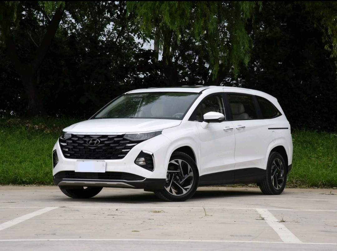 Hyundai Custo 2021 380TGDi Luxury Version DLX Large Mid Size MPV Max 173.6kw