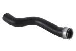 97010640202 Engine Parts Cooling Water Pipe