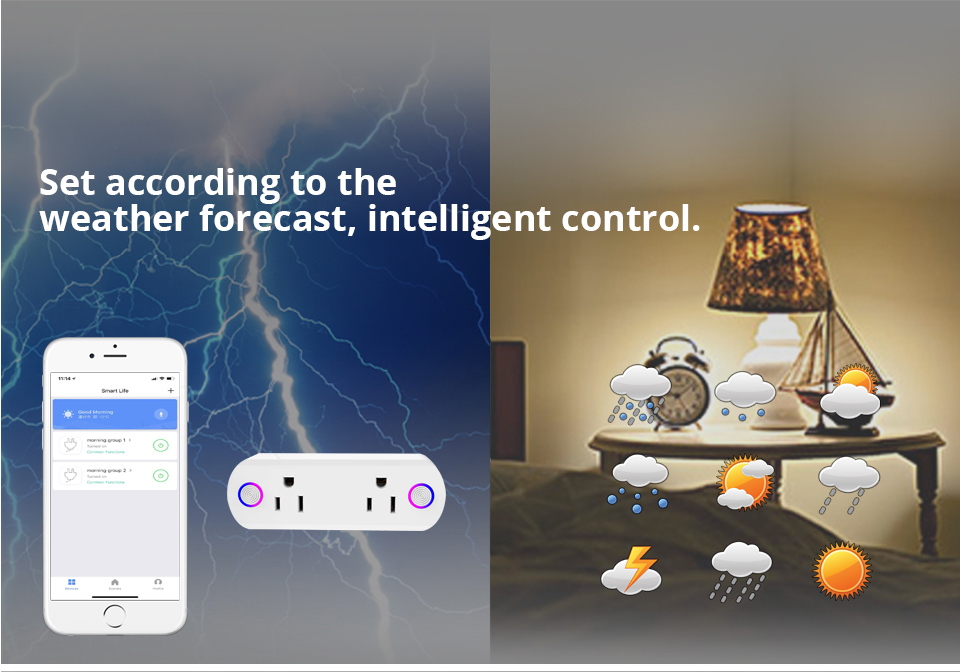 wifi smart plug with dual US sockets