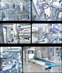 Six Positions Rotary Premade Bag Packing Machine Pouch Packaging Line 10-15