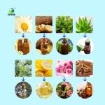 Ginger Essential Oil Extractor 300L TOPTION Herbal Distillation Machine