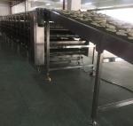 Fully Automatic Turnkey Roti Lavash Production Line