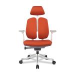 Posture Ergonomic Office Chair