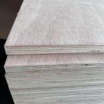 Moistureproof Hardwood Veneer Plywood Sturdy Thickness 3mm-25mm