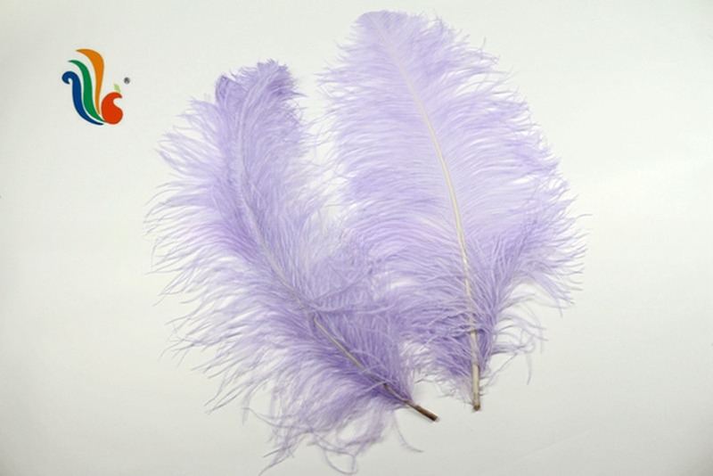 Various Color Millinery Feather Ostrich Plume Feathers 50-55cm For Hat Decoration