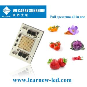 Quality Plant Growth 50W±2W Multi Wavelength 40*60mm AC 220V Grow Lamp LED COB Light wholesale