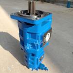 CBGJ Double Pump Square cover Spline Blue Compact Original Gear Pump For
