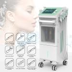 DPL Facial Skin Care Cleaning Microdermabrasion Jet Peel Aqua Hydro Dermabrasion