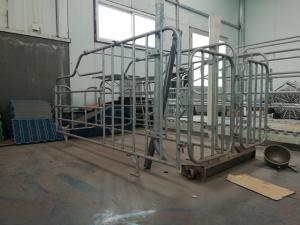 Quality Durable Free Stall Farrowing Pens Swine Equipment With Thermal Box wholesale