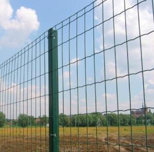 Quality European PVC Coated Welded Wire Mesh Security Fencing Curved 50 X 100mm wholesale