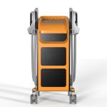 Clinic Fat Sculpting Machine 1Hz-100Hz EMS Muscle Stimulation Machine