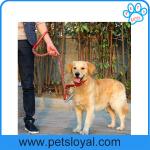 Hot Sale Leather Dog Leash Collar China Factory Wholesale