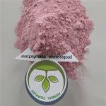 cherry juice powder buy best organic tart cherry powderuses health benefits