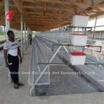 A type Broilers Battery Cage Poultry Farming ISO14001 Doris