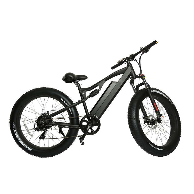 30-50Km/h Max Speed 7 Speed Fat Tyre Mountain Electric Bike with 3 Hours Charging Time