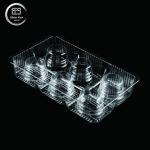 Customized Transparent PET Disposable Plastic Biscuit Tray, Inner Food Packaging