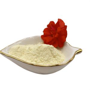 Quality Organic N16 Soy Protein Powder wholesale