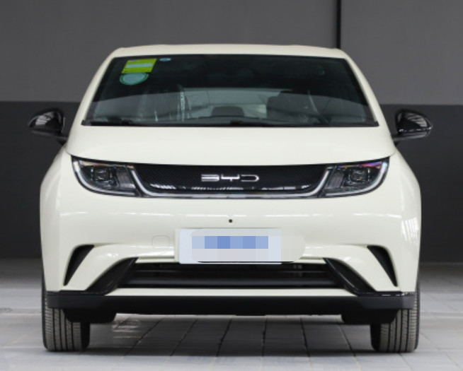 BYD Dolphin 2023 420KM Free Version 5 door 5 seat Hatchback Small Car