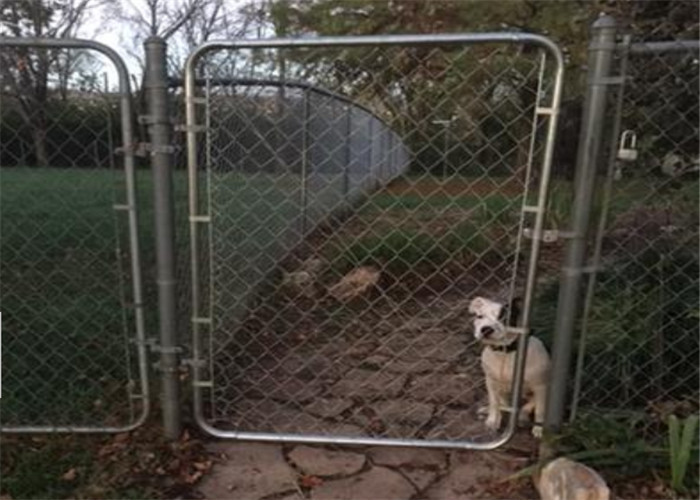 8FT X 50FT Chain Link Fabric Fence With Razor Barbed Wire For High Level Security
