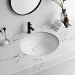 Ada Wall Mount Bathroom Sink Unglazed Underside Commercial Wall Hung Lavatory
