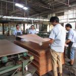 Arrow Grain Engineered Wood Veneer 2500-3100 MM Lengthened Size For Wall Panels