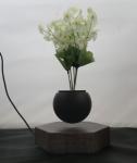 new hexagon wooden magnetic floating levitate air bonsai pot tree