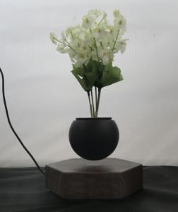 Quality new hexagon wooden magnetic floating levitate air bonsai pot tree wholesale