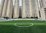 Dtex Stem Shape Artificial Football Turf For Disease Resistance