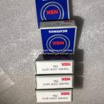 NSK Stainless Steel Deep Groove Ball Bearing SS6905ZZ , 6905ZZ