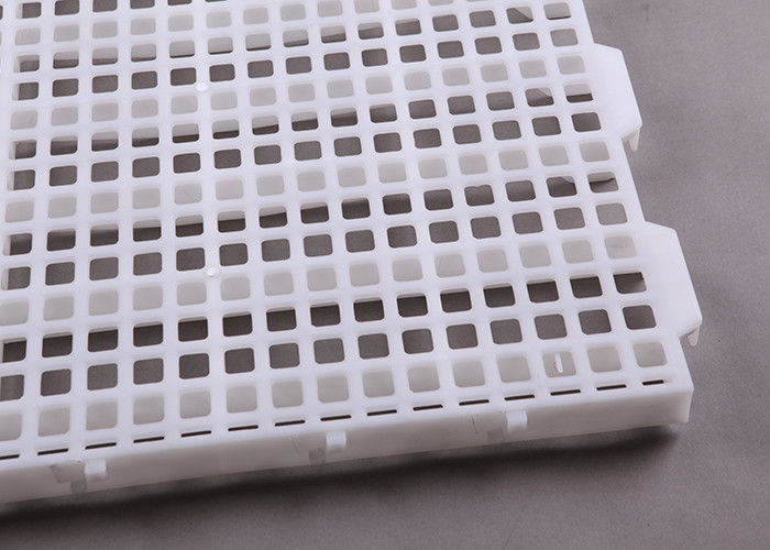 HI HOPE Polypropylene Plastic Slatted Floor For Poultry 60x70cm 70x70cm