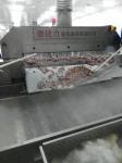 400KGS/H Mesh Belt Tunnel Freezer