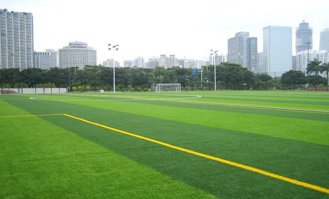 Biocolor Anti Corrosive Artificial Grass Football Field For Playground