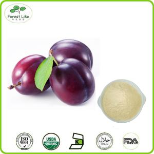 Quality Hot Selling Product Plum Fruit Juice Powder wholesale