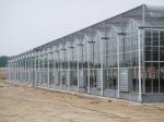 Multi-Span Agricultural Greenhouses Modern Tech Glass Greenhouse for Agriculture