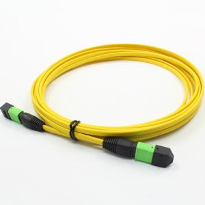 Quality 12 Core Single Mode MPO Patch Cable 2m For Machine Room wholesale