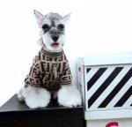 52cm Small Dog Pajamas