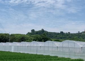 Quality Customized Design Plastic Film Greenhouse , Lettuces Multi Tunnel Greenhouse wholesale