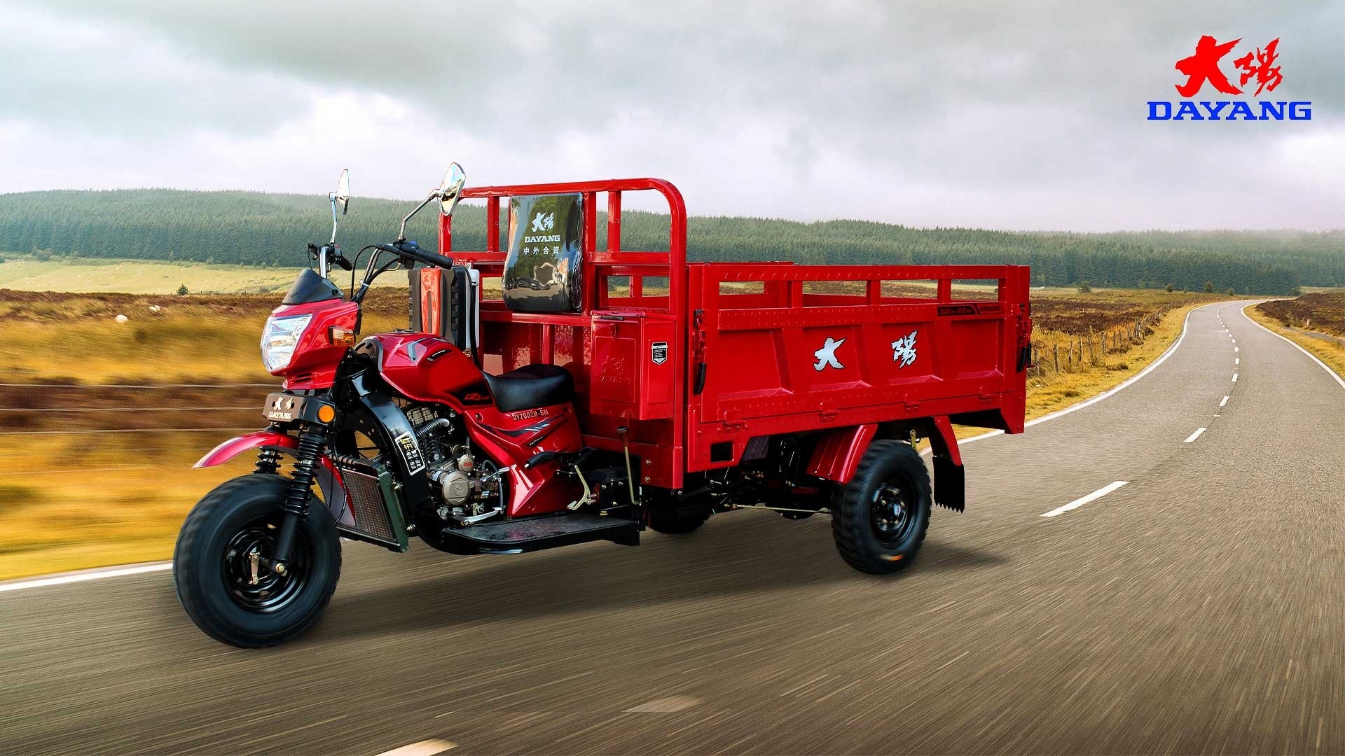 250CC Closed Box Three Wheel Cargo Motorcycle 1200kg Loading Capacity 5.0-12 Tire Size