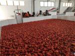SUS304 50T/H 440V Tomato Ketchup Production Line