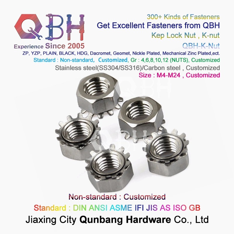 Qbh SS304 SS316 SUS304 SUS316 Stainless Steel K-Nut Star Nut