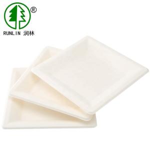 Quality Rectangular Eco Friendly Biodegradable Sugarcane Bagasse Plates Birthday Party Paper wholesale
