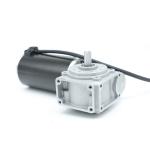 63BLX01-XXWG15R DC Worm Gearbox Motor 220rpm 1A 3.5N.M 114W 24V