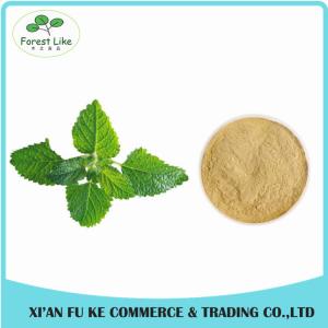 Quality Peppermint / Mentha Haplocalyx Leaf Extract Menthol wholesale