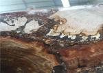 Petrified Wood Semi Precious Stone Slabs Smooth Surface Customized Cut