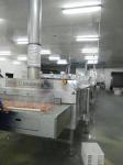 400KGS/H Mesh Belt Tunnel Freezer