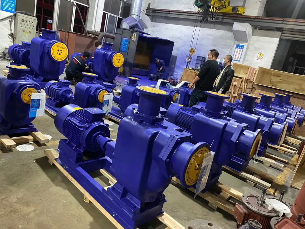 Zw Self-Priming Sewage Pump