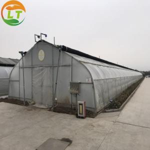 Quality Mushroom Farm Greenhouse with Galvanized Material Frame and Film Cover wholesale