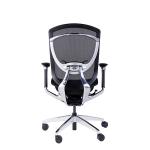 Wintex Mesh Back Ergonomic Chair 21.50KGS Ergonomic Executive Desk Chair